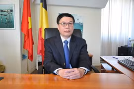 Đại sứ Việt Nam tại Vương Quốc Bỉ, Vũ Anh Quang. (Ảnh: Kim Chung/TTXVN)