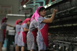 Công nhân người Triều Tiên. (Nguồn: China Daily Mail)