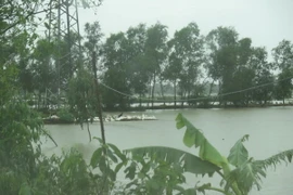 Nước ngập do mưa bão ở Nghệ An. (Ảnh: Nguyễn Văn Nhật/TTXVN)