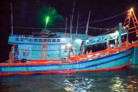 Ảnh minh họa. (Ảnh: Trung Hiếu/TTXVN)