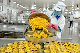 Công nhân đóng đồ hộp xuất khẩu tại nhà máy ở huyện Hạ Ấp, tỉnh Hà Nam, Trung Quốc. (Ảnh: AFP/TTXVN)