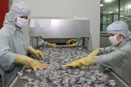 Chế biến tôm xuất khẩu. (Ảnh: Huy Hùng/TTXVN)