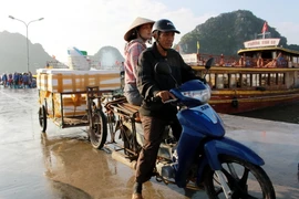 Hải sản từ cảng Cái Rồng được vận chuyển đi tiêu thụ ở các vùng lân cận. (Ảnh: Văn Đức/TTXVN)