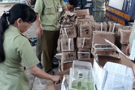 Ảnh minh họa. (Ảnh: Huyền Trang/TTXVN)