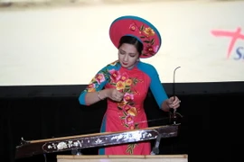 Tiết mục biểu diễn của các nghệ sỹ Việt Nam, (Ảnh: Như Mai/TTXVN)