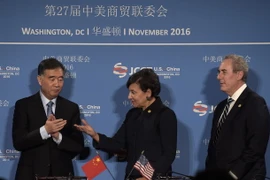 (Nguồn: AP/TTXVN)
