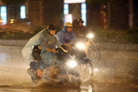 Ảnh minh họa. (Nguồn: TTXVN)