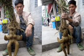 Rễ cây hình cô gái khỏa thân được bán ở Trung Quốc. (Nguồn: shanghaiist.com)