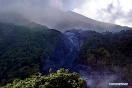 (Nguồn: xinhuanet.com)