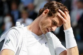 Andy Murray thành cựu vương Wimbledon. (Nguồn: AP)