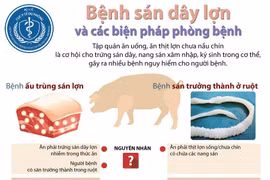 [Infographics] Bệnh sán dây lợn và các biện pháp phòng bệnh