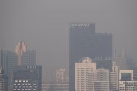 (Nguồn: Reuters)