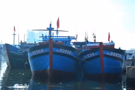 Những tàu cá của ngư dân phường Nại Hiên Đồng, quận Sơn Trà được đóng mới theo Quyết định 47 của thành phố Đà Nẵng. (Ảnh: Đinh Văn Nhiều/TTXVN)
