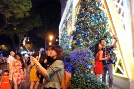 Ảnh minh họa. (Ảnh: An Hiếu/TTXVN)