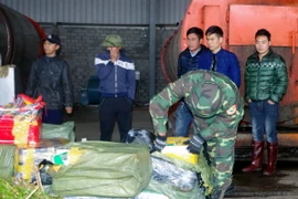 Lực lượng chức năng tiến hành tiêu hủy tang vật. (Ảnh: Nguyễn Hoàng/TTXVN)