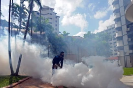 Phun thuốc khử trùng nhằm ngăn chặn sự lây lan của virus Zika tại Singapore. (Nguồn: THX/TTXVN)