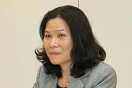 Đại sứ Việt Nam tại Hà Lan Ngô Thị Hòa. (Ảnh: Phạm Văn Thắng/TTXVN)