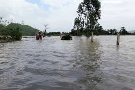 Đoạn đường ĐT 609 đi vào xã Đại Lãnh bị nước lũ chia cắt. (Ảnh: Đỗ Trưởng/TTXVN)