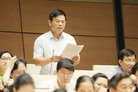 Đại biểu Quốc hội tỉnh Bình Dương Nguyễn Thanh Hồng phát biểu. (Ảnh: Phương Hoa/TTXVN)