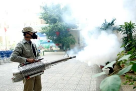 Phun thuốc phòng chống dịch bệnh. (Ảnh: Dương Ngọc/TTXVN)