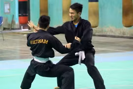 Pencak Silat có cơ hội giành đến 10 HCV. (Ảnh: Thành Đạt/TTXVN)