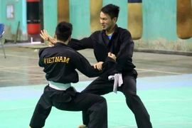 Pencak Silat có cơ hội giành đến 10 HCV. (Ảnh: Thành Đạt/TTXVN)