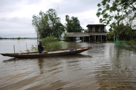 Hình ảnh ngập lụt tại huyện Quảng Điền (Thừa Thiên-Huế). (Ảnh: Hồ Cầu/TTXVN)
