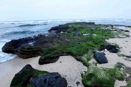 Đảo Lý Sơn, vùng đất nhiều tiềm năng phát triển du lịch. (Ảnh: Quý Trung/TTXVN)