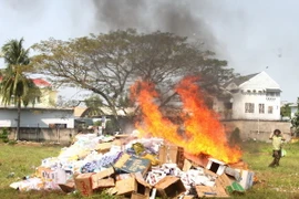 Ảnh minh họa. (Ảnh: Lê Thúy Hằng/TTXVN)