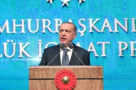Tổng thống Thổ Nhĩ Kỳ Recep Tayyip Erdogan phát biểu tại Ankara ngày 3/8. (Ảnh: AFP/TTXVN)