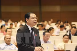 Bộ trưởng Bộ Nông nghiệp và Phát triển nông thôn Nguyễn Xuân Cường. (Ảnh: Phương Hoa/TTXVN)