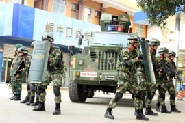 (Ảnh: Nguyễn Hoàng/TTXVN)