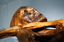 Oetzi, biệt danh được đặt cho xác ướp trong băng. (Nguồn: AP)