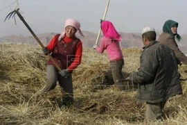 Người dân ở khu vực nông thôn tại Mỹ Latinh. (Nguồn: EFE)