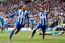 Brighton & Hove Albion chính thức lên hạng sớm 3 vòng đấu. (Nguồn: Daily Mail)