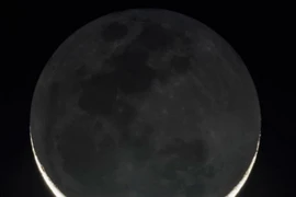 (Ảnh minh họa: standard.co.uk)