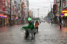 (Ảnh minh họa: Quốc Việt/TTXVN)