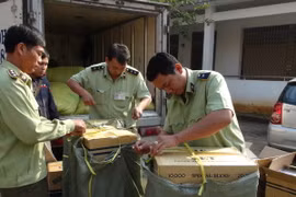 Lực lượng chức năng kiểm tra tang vật bị bắt giữ. (Ảnh minh họa: Đậu Tất Thành/TTXVN)