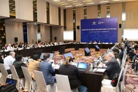 Quang cảnh cuộc họp Ủy ban thương mại và đầu tư (CTI). (Ảnh: Doãn Tấn/TTXVN)