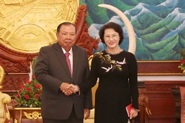 (Ảnh: Trọng Đức/TTXVN)