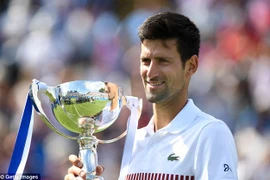 Novak Djokovic giành chức vô địch trước thêm Wimbledon. (Nguồn: PA)