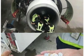 Cảnh sát tìm kiếm và thu giữ số đồng xu mà bà cụ ném ra. (Nguồn: bbc.com)