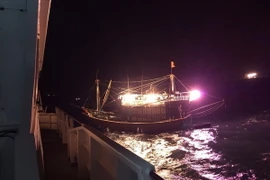 Ảnh minh họa. (Ảnh: Trần Hoàng Ngọc/TTXVN)