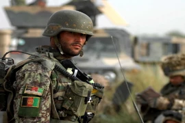 Binh sỹ Afghanistan. (Nguồn: dailytimes)