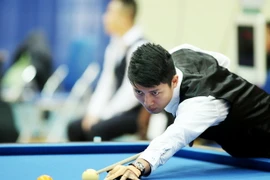 Ảnh minh họa. (Nguồn: TTXVN)