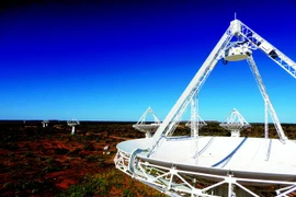 (Nguồn: cio.com.au)