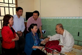 (Ảnh: Bùi Giang-TTXVN)