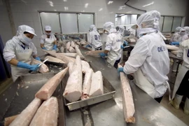 Ảnh minh họa. (Ảnh: Vũ Sinh/TTXVN)