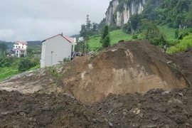 (Ảnh minh họa: Hương Thu/TTXVN)