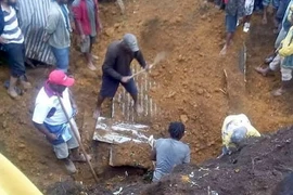 Tìm kiếm nạn nhân sau động đất. (Nguồn: Reuters)